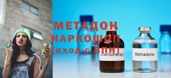 прущие грибы Няндома