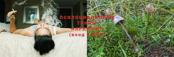 кокс Алзамай