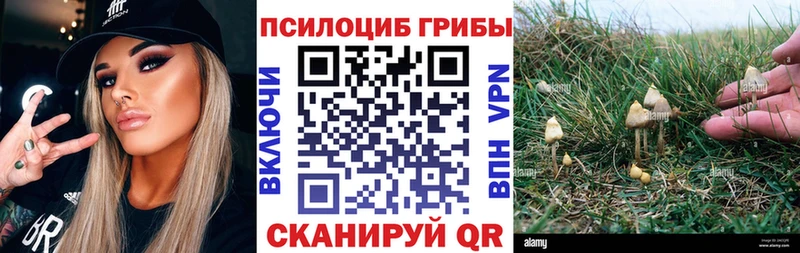 что такое   Устюжна  Галлюциногенные грибы мухоморы 